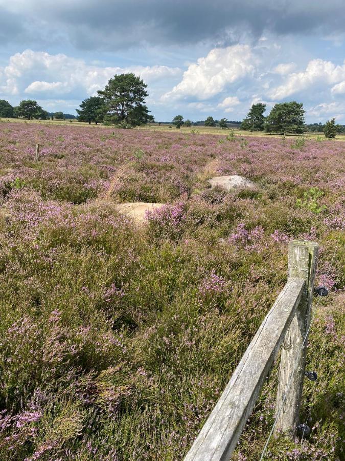 Holiday In Der Lueneburger Heide Bispingen Buitenkant foto
